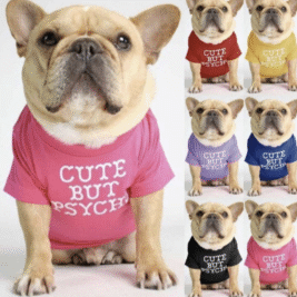 𝐶𝑢𝑡𝑒 𝐵𝑢𝑡 𝑃𝑠𝑦𝑐ℎ𝑜