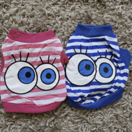 𝑊𝑎𝑡𝑐ℎ𝑖𝑛𝑔 𝑌𝑜𝑢