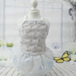 𝐹𝑎𝑛𝑐𝑦 𝑁𝑎𝑛𝑐𝑦