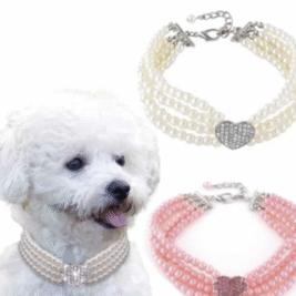 𝑃𝑟𝑖𝑛𝑐𝑒𝑠𝑠 𝑃𝑒𝑎𝑟𝑙𝑠