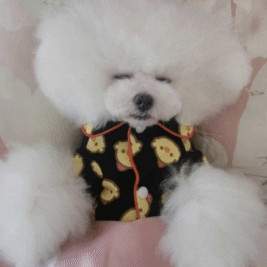 𝑆𝑙𝑒𝑒𝑝𝑦 𝐶ℎ𝑖𝑐𝑘 𝑇𝑖𝑚𝑒