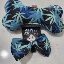 𝑀𝑎𝑟𝑦 𝐽𝑎𝑛𝑒 𝑅𝑎𝑠𝑡𝑎 𝐶𝑜𝑙𝑙𝑒𝑐𝑡𝑖𝑜𝑛