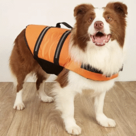 𝐿𝑖𝑓𝑒 𝐽𝑎𝑐𝑘𝑒𝑡