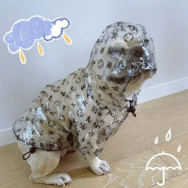 𝑃𝑎𝑠ℎ𝑖𝑜𝑛 𝑅𝑎𝑖𝑛𝑐𝑜𝑎𝑡