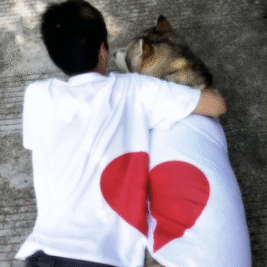 𝑆ℎ𝑎𝑟𝑒 𝑀𝑦 𝐻𝑒𝑎𝑟𝑡