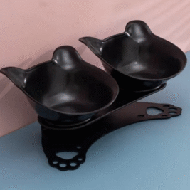 𝐶𝑎𝑡 𝐹𝑜𝑜𝑑 𝐷𝑖𝑠ℎ