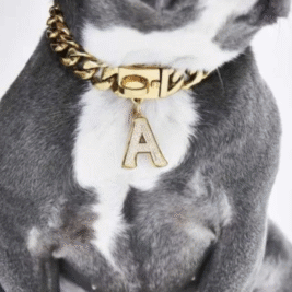 𝐴𝑙𝑝ℎ𝑎𝑏𝑒𝑡 𝐶ℎ𝑎𝑟𝑚𝑠