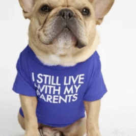 𝐼 𝑆𝑡𝑖𝑙𝑙 𝐿𝑖𝑣𝑒 𝑊𝑖𝑡ℎ 𝑀𝑦 𝑃𝑎𝑟𝑒𝑛𝑡𝑠