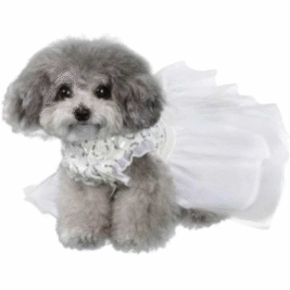 𝑀𝑎𝑟𝑟𝑦 𝑀𝑒