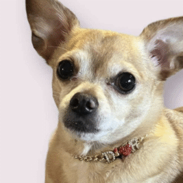 𝐷𝑜𝑢𝑏𝑙𝑒 𝑌𝑜𝑢𝑟 𝑃𝑙𝑒𝑎𝑠𝑢𝑟𝑒