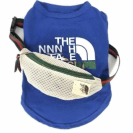 𝑇ℎ𝑒 𝑁𝑒𝑤𝑓𝑎𝑐𝑒 𝑆𝑒𝑡