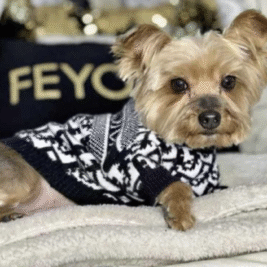 𝑆𝑜 𝐵𝑙𝑢𝑒