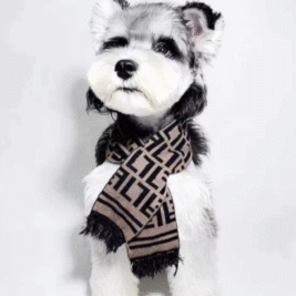 𝑊𝑟𝑎𝑝 𝑀𝑒 𝑈𝑝 𝐿𝑢𝑥𝑢𝑟𝑦