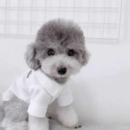 𝐿𝑎𝑐𝑟𝑜𝑠𝑒