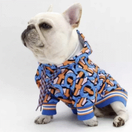 𝐽𝑢𝑠𝑡 𝐵