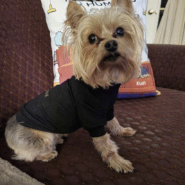 𝑌𝑒𝑠 𝑊𝑒𝑠