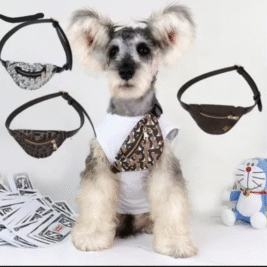 Designer Fanny Packs