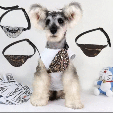 Designer Fanny Packs