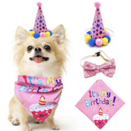 𝐵𝑖𝑟𝑡ℎ𝑑𝑎𝑦 𝑃𝑎𝑤𝑡𝑦