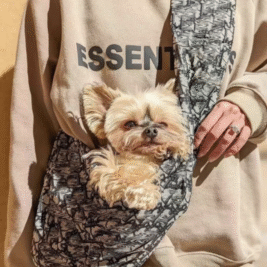 𝑆𝑙𝑖𝑛𝑔 𝐶𝑎𝑟𝑟𝑖𝑒𝑟