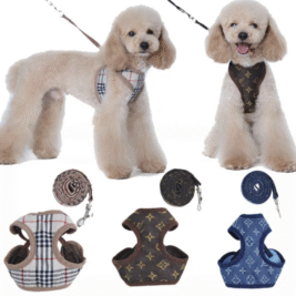 𝑃𝑎𝑠ℎ𝑖𝑜𝑛 𝐻𝑎𝑟𝑛𝑒𝑠𝑠 & 𝐿𝑒𝑎𝑠ℎ 𝑆𝑒𝑡