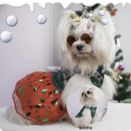 𝐶ℎ𝑟𝑖𝑠𝑡𝑚𝑎𝑠 𝐶ℎ𝑒𝑒𝑟