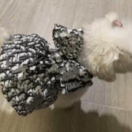 𝐵𝑜𝑤 𝑇𝑖𝑒 𝐷𝑎𝑡𝑒 𝑁𝑖𝑔ℎ𝑡