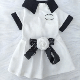 𝐵𝑙𝑎𝑐𝑘 & 𝑊ℎ𝑖𝑡𝑒 𝐷𝑎𝑡𝑒 𝑁𝑖𝑔ℎ𝑡