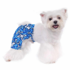 𝑆𝑤𝑖𝑚 𝑇𝑟𝑢𝑛𝑘𝑠