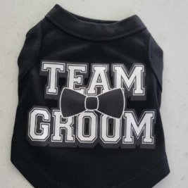 𝑇𝑒𝑎𝑚 𝐺𝑟𝑜𝑜𝑚