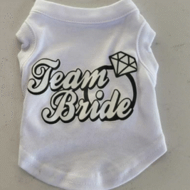 𝑇𝑒𝑎𝑚 𝐵𝑟𝑖𝑑𝑒