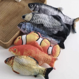 𝐹𝑙𝑎𝑝𝑝𝑒𝑛' 𝐹𝑖𝑠ℎ