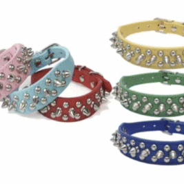 𝑆𝑡𝑢𝑑 𝑀𝑒 𝐶𝑜𝑙𝑙𝑎𝑟