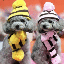 𝐶𝑜𝑙𝑑 𝑂𝑢𝑡𝑠𝑖𝑑𝑒 𝑆𝑒𝑡