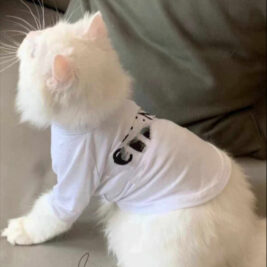 𝐶𝑒𝑙𝑖𝑛𝑒 𝑆ℎ𝑖𝑟𝑡