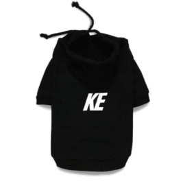 𝐶ℎ𝑒𝑐𝑘 𝑃𝑎𝑠ℎ𝑖𝑜𝑛