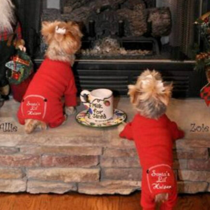 Christmas Dog Pajamas - Santa's Lil' Helper