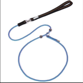Training Leash