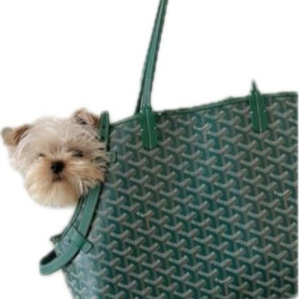 Green Bag Carrier