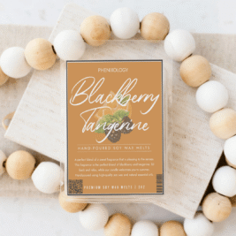 Blackberry Tangerine Wax Melt