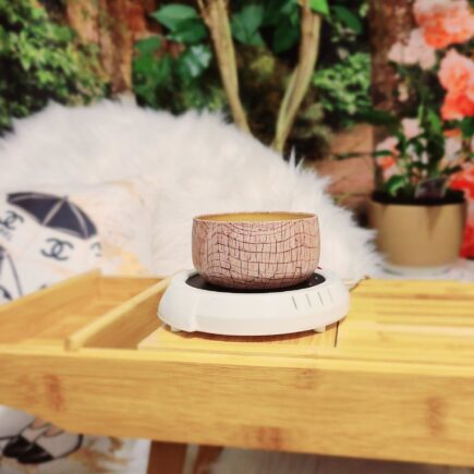 Coco Mango Wickless Candle