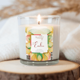Eurotica Soy Candle