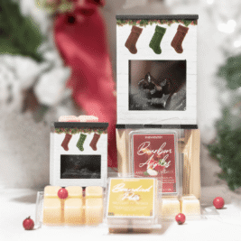 Holiday Wax Melts with Warmer Gift Set