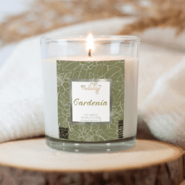 Jaded Cactus Soy Candle