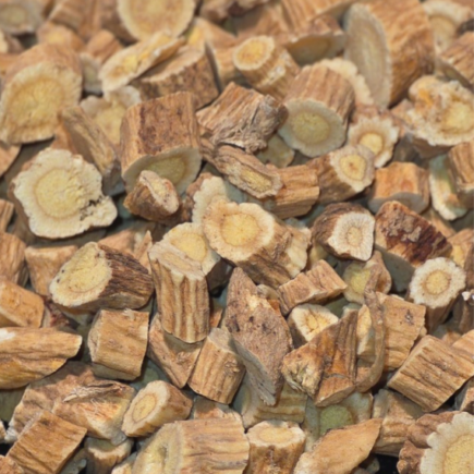 Astragalus Root