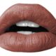 Brickhouse Vegan Matte Lipstick