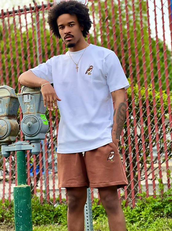 Owl Sweat Shorts Brown