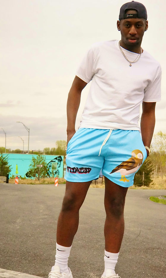 Owl Shorts Icy