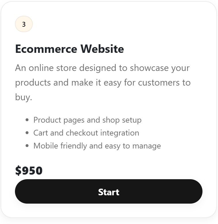 Custom E-Commerce Website Design (Shopify, Wix, WordPress)