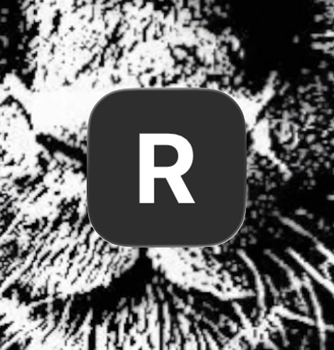 RAPID ACCESS RECORDS EVALUATION
